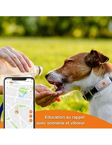 Collier GPS pour chien – Weenect Dogs 2 - Suivi GPS en temps réel