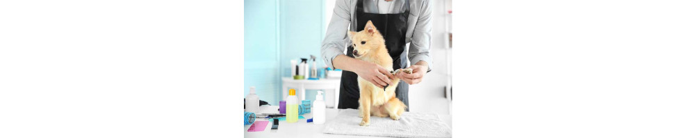 Dog grooming